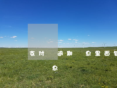 支付寶逾期罰息里面包含利息嗎(支付寶逾期會罰息嗎)