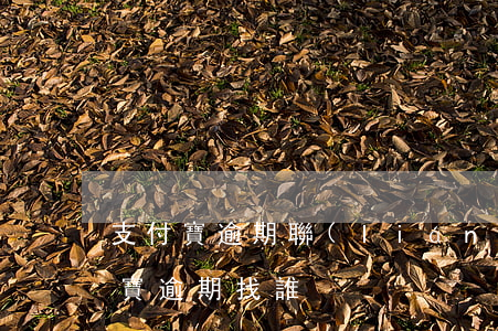 支付寶逾期聯(lián)系人哪里來(支付寶逾期找誰)