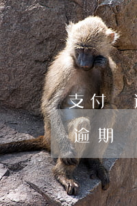 支付寶逾期聯(lián)系其他人(支付寶逾期會和每個聯(lián)系人打電話嗎)