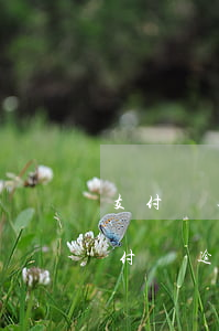 支付寶逾期聯(lián)系支付寶好友(支付寶逾期會(huì)不會(huì)給支付寶好友打電話)