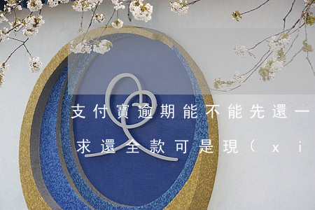 支付寶逾期能不能先還一半(支付寶逾期后要求還全款可是現(xiàn)在錢不夠想還是按月還)