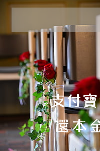 支付寶逾期能不能只還本金-支付寶欠款只還本金可以嗎