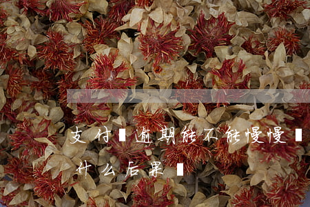 支付寶逾期能不能慢慢還(支付寶逾期不還有什么后果嗎)