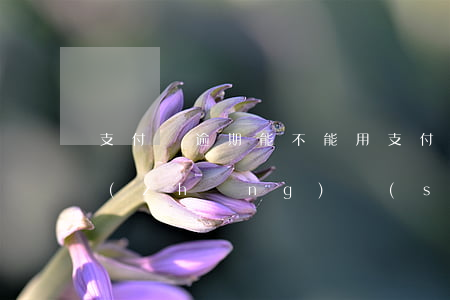 支付寶逾期能不能用支付寶(支付寶逾期多長(zhǎng)時(shí)間不能用)