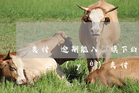 支付寶逾期能入職旗下公司嗎 支付寶逾期影響企業(yè)支付寶嗎