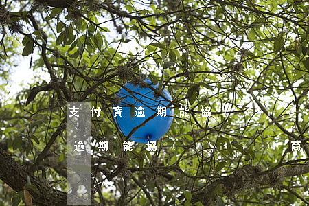 支付寶逾期能協(xié)商分期嗎(支付寶逾期能協(xié)商分期嗎)