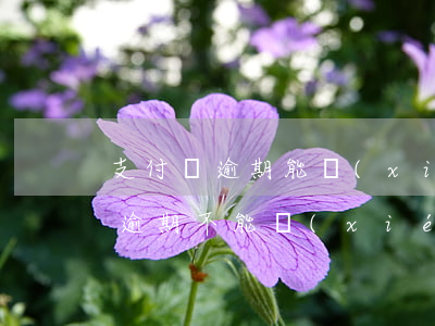 支付寶逾期能協(xié)商解決嗎(支付寶逾期不能協(xié)商嗎)
