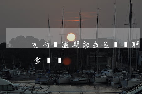 支付寶逾期能去盒馬應聘嗎（支付寶逾期能跑盒馬嗎）