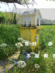 支付寶逾期能去肯德基工作么(肯德基為什么不能用支付寶)