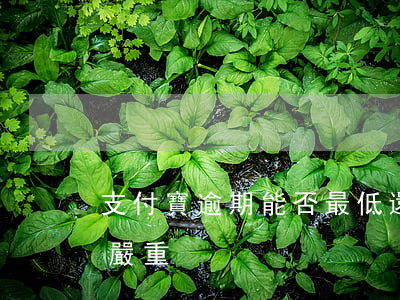支付寶逾期能否最低還款(支付寶逾期多少算嚴重)