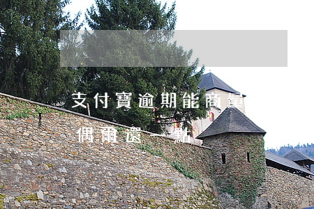 支付寶逾期能商量還少一點嗎 支付寶逾期后偶爾還一點