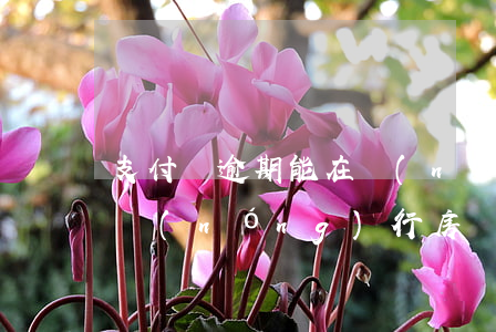 支付寶逾期能在農(nóng)行辦房貸嗎(農(nóng)行房貸逾期了怎么辦)