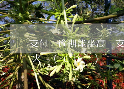 支付寶逾期能坐高鐵（支付寶逾期是否可以坐火車(chē)）