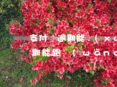 支付寶逾期能學(xué)駕照嗎(支付寶逾期能跑網(wǎng)約車嗎)