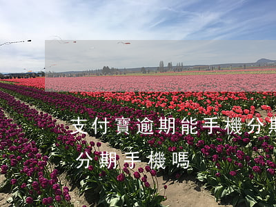 支付寶逾期能手機分期嗎(支付寶逾期了可以分期手機嗎)
