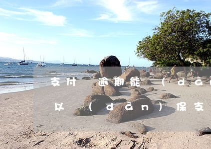支付寶逾期能擔(dān)保人嗎(支付寶可以擔(dān)保支付嗎)
