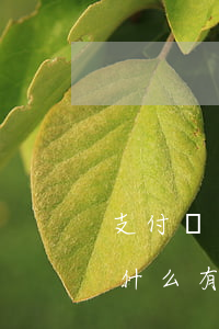 支付寶逾期能注冊菜鳥嗎(剛注冊的支付寶為什么有逾期)