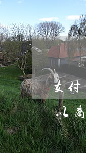 支付寶逾期能減免利息嗎(支付寶逾期太久 可以商量減免利息嗎)