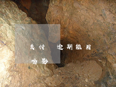支付寶逾期能用飛豬嗎(支付寶飛豬逾期了有啥影響)