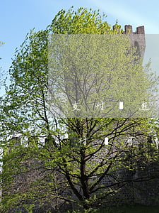 支付寶逾期能申請(qǐng)還本金嗎(支付寶可以逾期還款嗎)
