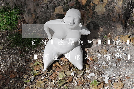 支付寶逾期能申請別的銀行卡信用卡嗎（支付寶有逾期信用卡有影響嗎）