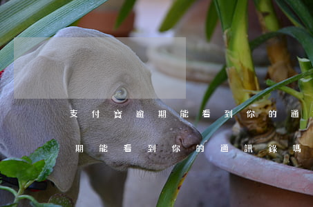 支付寶逾期能看到你的通訊錄嗎-支付寶逾期能看到你的通訊錄嗎怎么辦