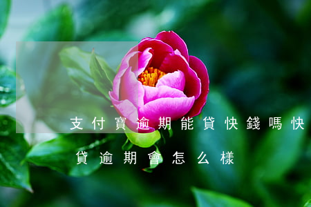 支付寶逾期能貸快錢嗎(快錢網(wǎng)貸逾期會怎么樣)