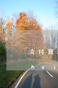 支付寶逾期能貸捷信嘛-捷信貸款逾期會(huì)影響支付寶信用分嗎