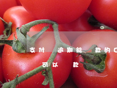 支付寶逾期能貸款的口子(支付寶逾期哪個平臺可以貸款)