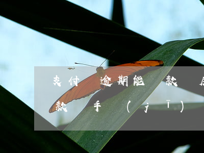 支付寶逾期能貸款買房嗎?（支付寶逾期還能貸款買手機(jī)嗎）