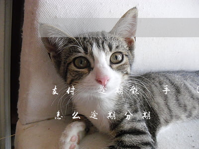 支付寶逾期能辦手機(jī)分期嗎(支付寶怎么逾期分期)