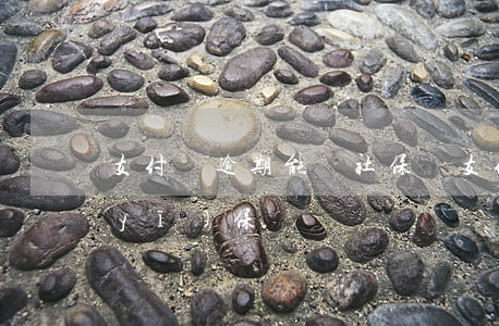 支付寶逾期能辦社保嗎(支付寶逾期影響醫(yī)保嗎)
