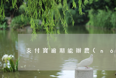 支付寶逾期能辦農(nóng)村信用貸嗎