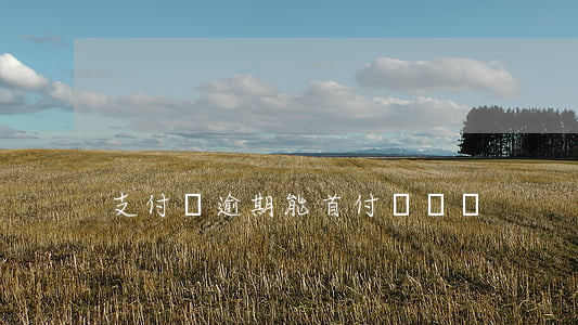 支付寶逾期能首付買車嗎