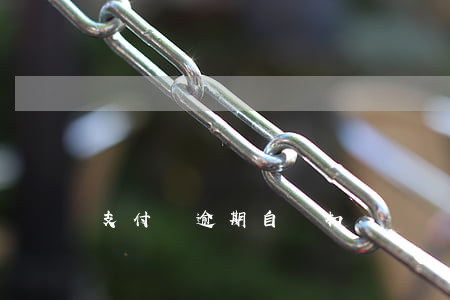 支付寶逾期自動扣費