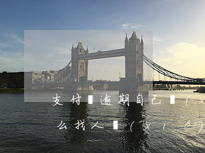 支付寶逾期自己協(xié)商還款不行怎么找人協(xié)商-支付寶逾期后協(xié)商還款怎么談