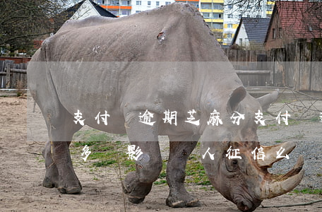 支付寶逾期芝麻分(支付寶逾期芝麻分掉了好多會影響個人征信么)