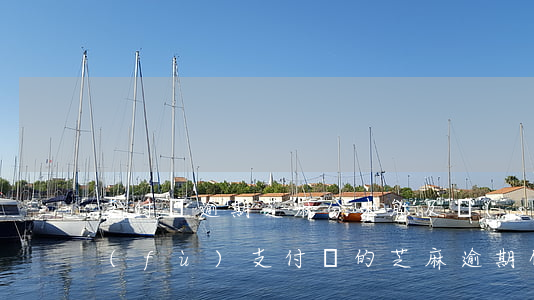 支付寶逾期芝麻分未能及時(shí)修復(fù)(支付寶的芝麻逾期修復(fù))