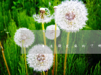 支付寶逾期芝麻粉下降 支付寶芝麻信用下降
