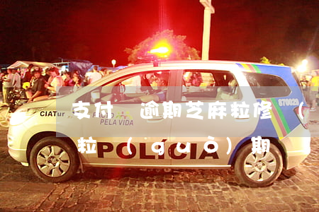 支付寶逾期芝麻粒修復(fù)(支付寶芝麻粒過(guò)期)