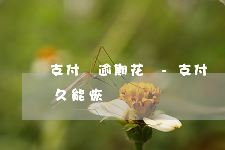 支付寶逾期花唄-支付寶逾期花唄凍結了多久能恢復?