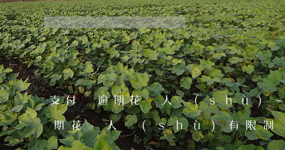 支付寶逾期花唄人數(shù)-支付寶逾期花唄人數(shù)有限制嗎