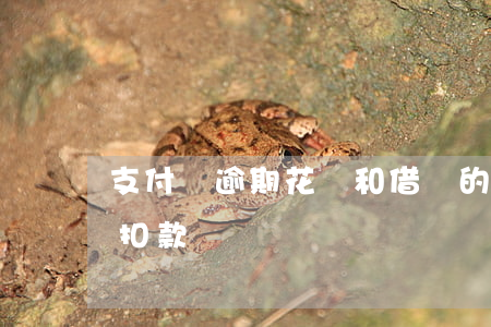 支付寶逾期花唄和借唄的扣款時間(螞蟻借唄扣款時間)