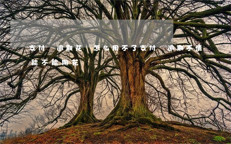 支付寶逾期花唄怎么用不了（支付寶逾期不清能不能用花唄）