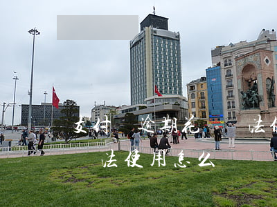 支付寶逾期花唄無法使用-支付寶逾期花唄無法使用怎么辦