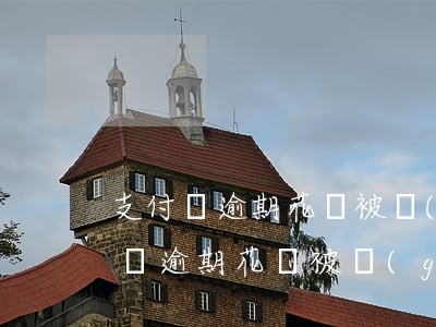 支付寶逾期花唄被關(guān)了-支付寶逾期花唄被關(guān)了怎么還