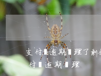 支付寶逾期處理了剩余的需要一次性還清（支付寶逾期處理）