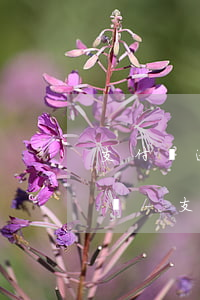 支付寶逾期處理了還會(huì)影響征信嗎-支付寶逾期處理了還會(huì)影響征信嗎知乎