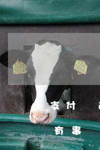 支付寶逾期處理后五年(支付寶逾期2年有沒有事)