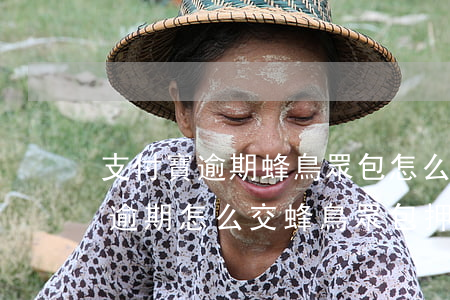 支付寶逾期蜂鳥眾包怎么交保證金-支付寶逾期怎么交蜂鳥眾包押金和提現(xiàn)呢